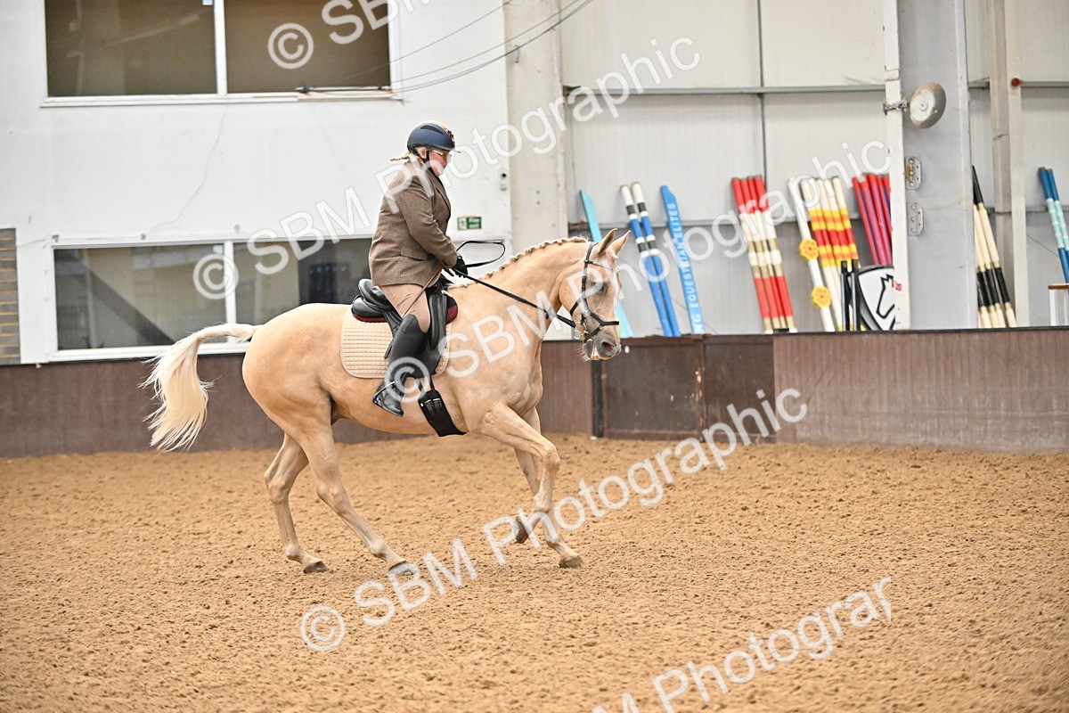 SBM_001453 - Class 19,20 - Ridden Native, Foreign Breeds & Warmbloods