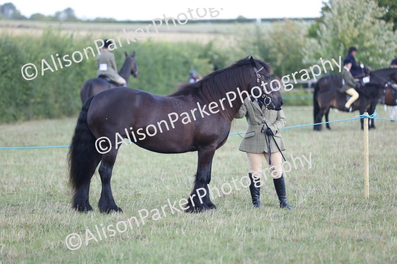 20250831-1663 - Class 22 - Mountain and Moorland Inhand