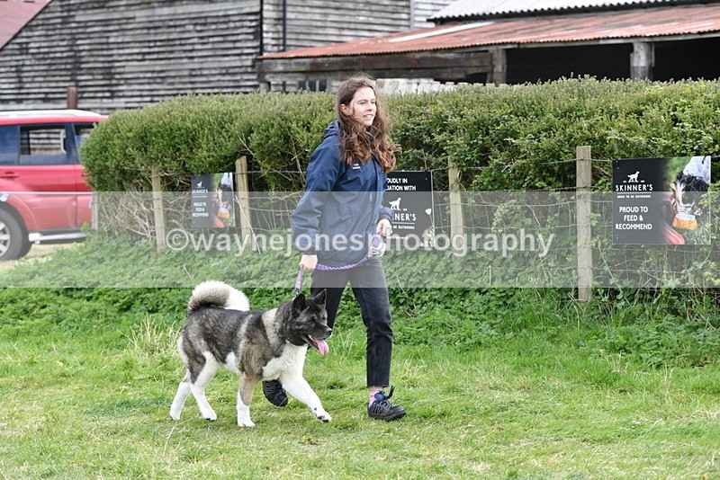 WJ5_9984 - Class 5 Best Veteran / 7 years & over