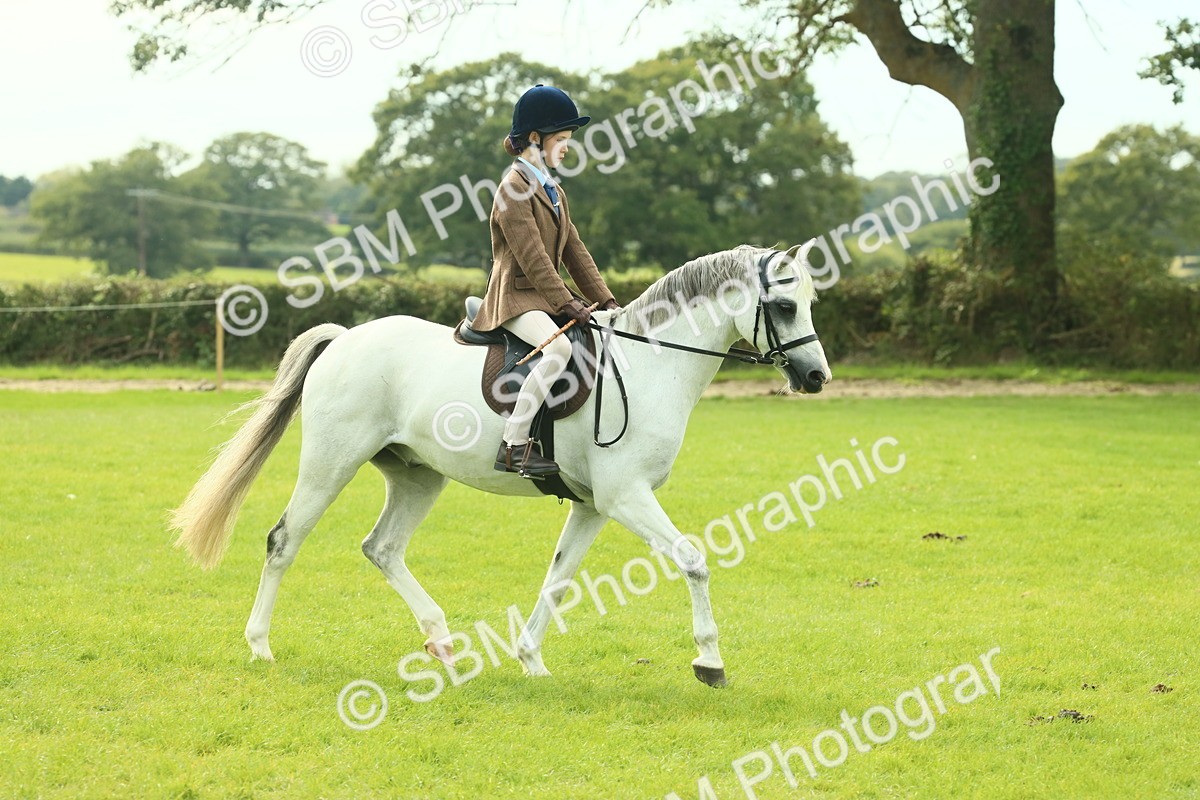 SBM_69797 - S59 - Mountain & Moorland Ridden Small Breeds