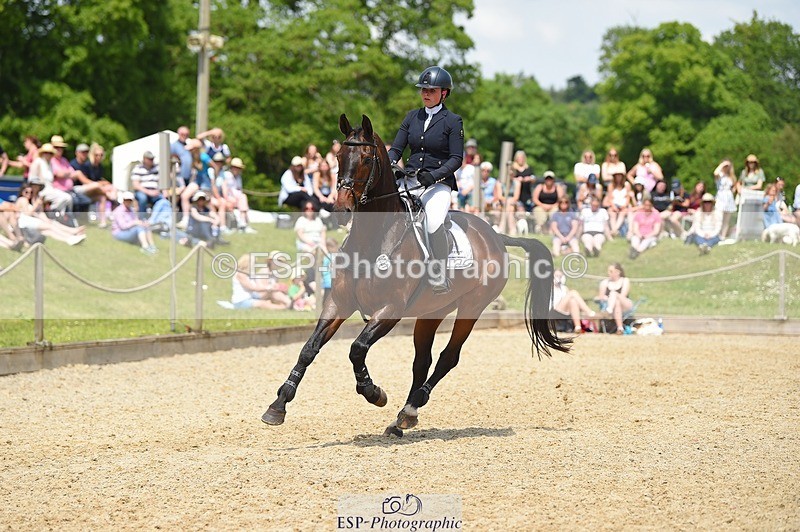 230528-125120-15868 - 357-VIVENDI_HERO-Saffron_Cresswell-SUNTrotUp+SJ