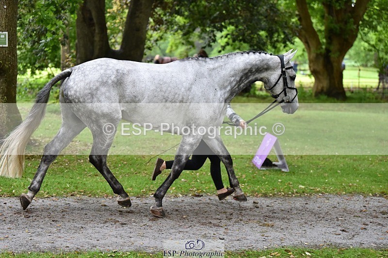 240522-165230-01223 - 226-CLONSHIRE_ON_TREND-Heidi_Coy