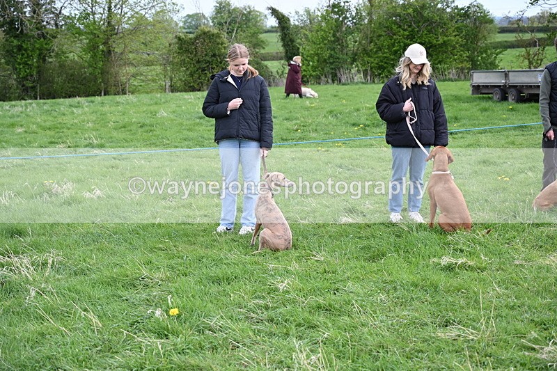 WJ6_8016 - Class 2 Best Pedigree