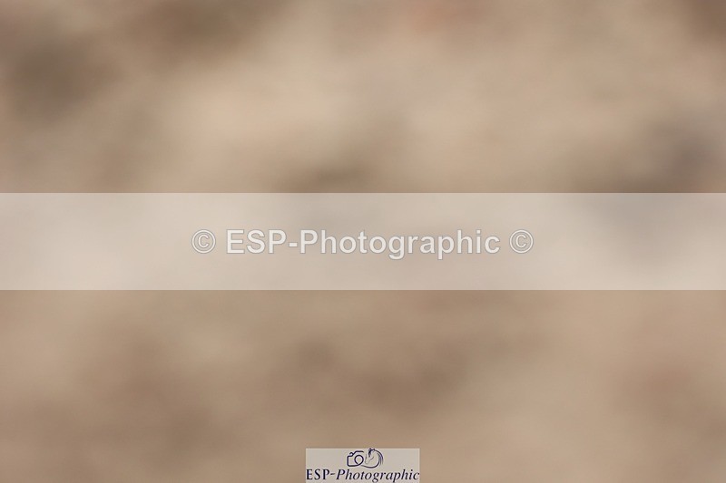 250621-114322-08833 - Cls 37 - Freestyle Adv Medium