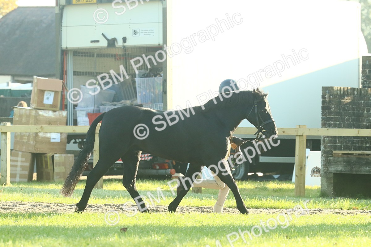 SBM_57346 - S37 - Starters In Hand Showing