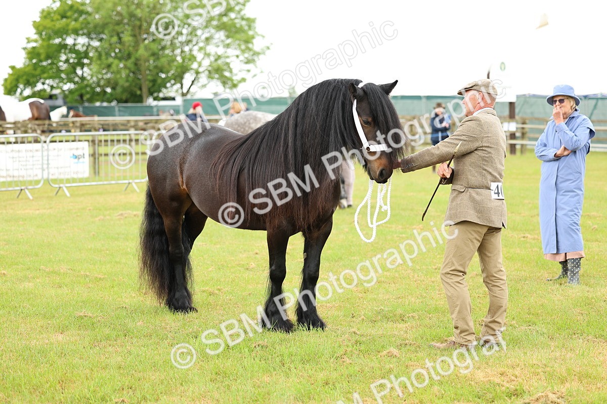 SBM_00511 - Class 58-67 - M&M Non Welsh Pony In hand