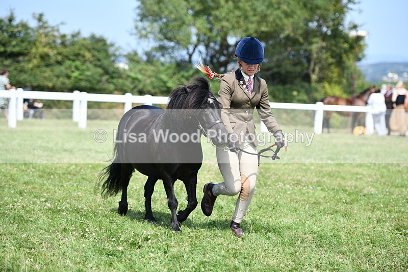 DSC_8181 - Class 67: Child Handler 11 - 16 years