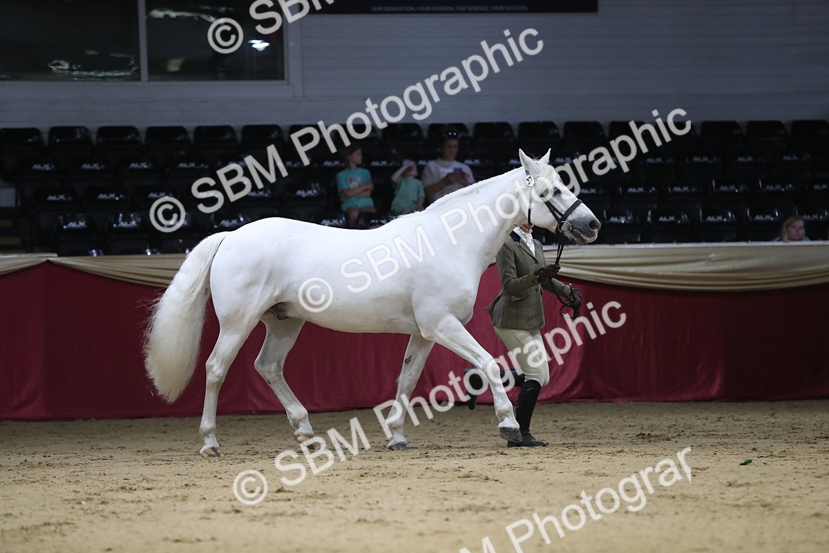 SBM_04409 - Class 7R Regional - IH Diamond