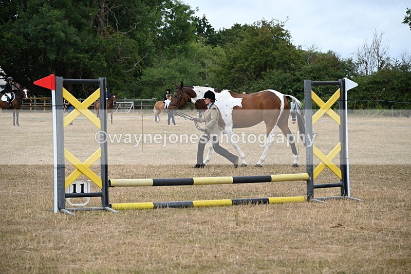 WJ6_8174 - Class 10 Coloured in Hand