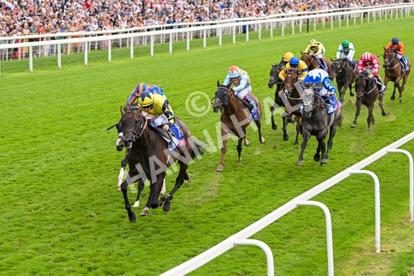 240824-Race 2-Tabletalk-1318 - Race 2 2.25pm Sky Bet Melrose Handicap