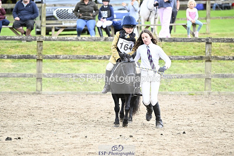 240822X-144215-09218 - 40cm LR R2 13.00 to 15.00