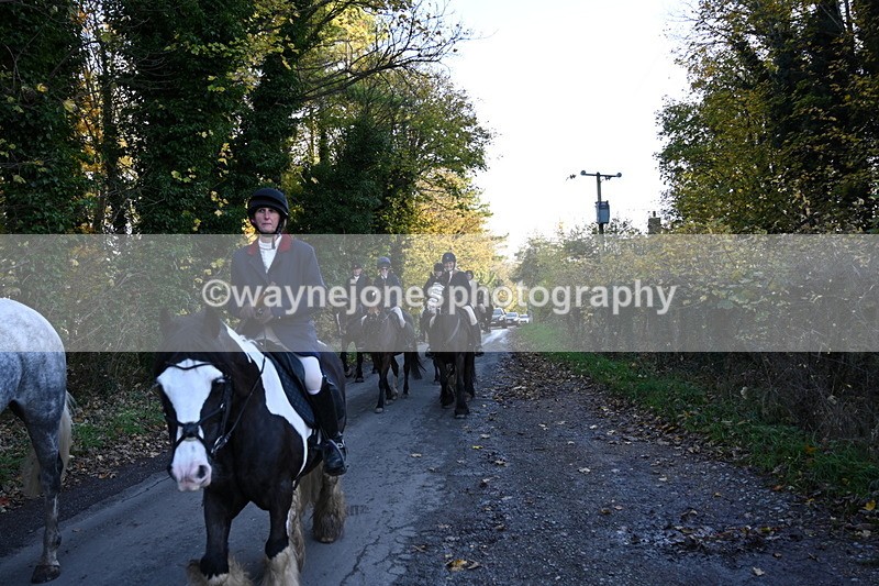 WJ6_9793 - Walk Home