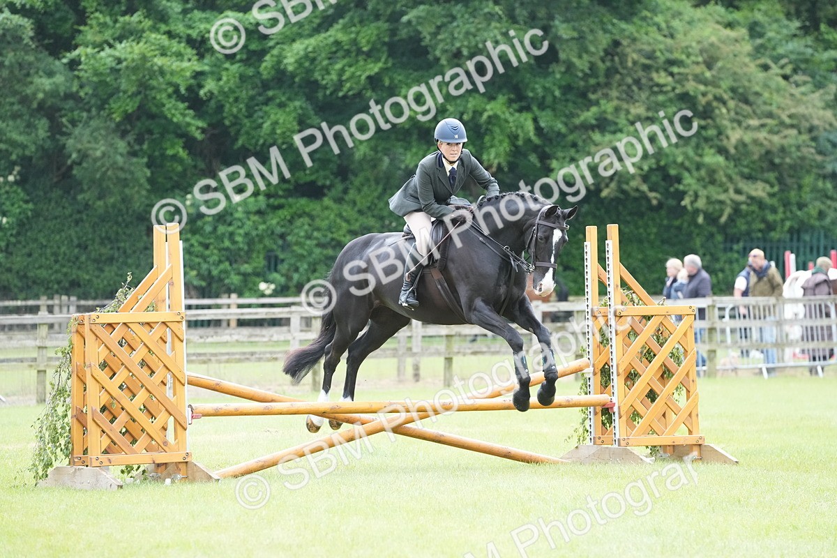 SBM_12573 - Class 97-98 - LIHS BSHA Rising Star Working Show Horse Hunter