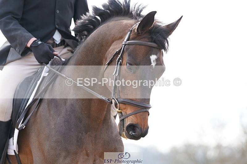 250322-132422-00487 - DR Elementary 2 Test