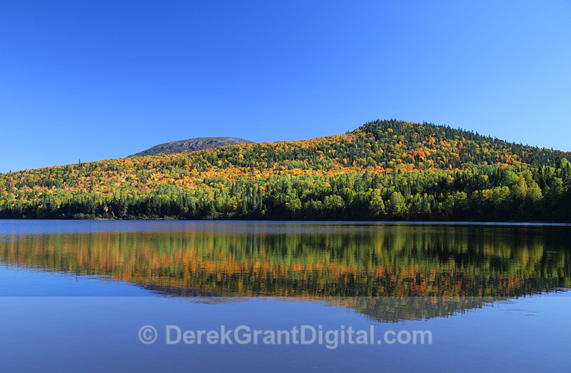 Mount Carleton Provincial Park New Brunswick Canada Autumn Foliage - Autumn Foliage