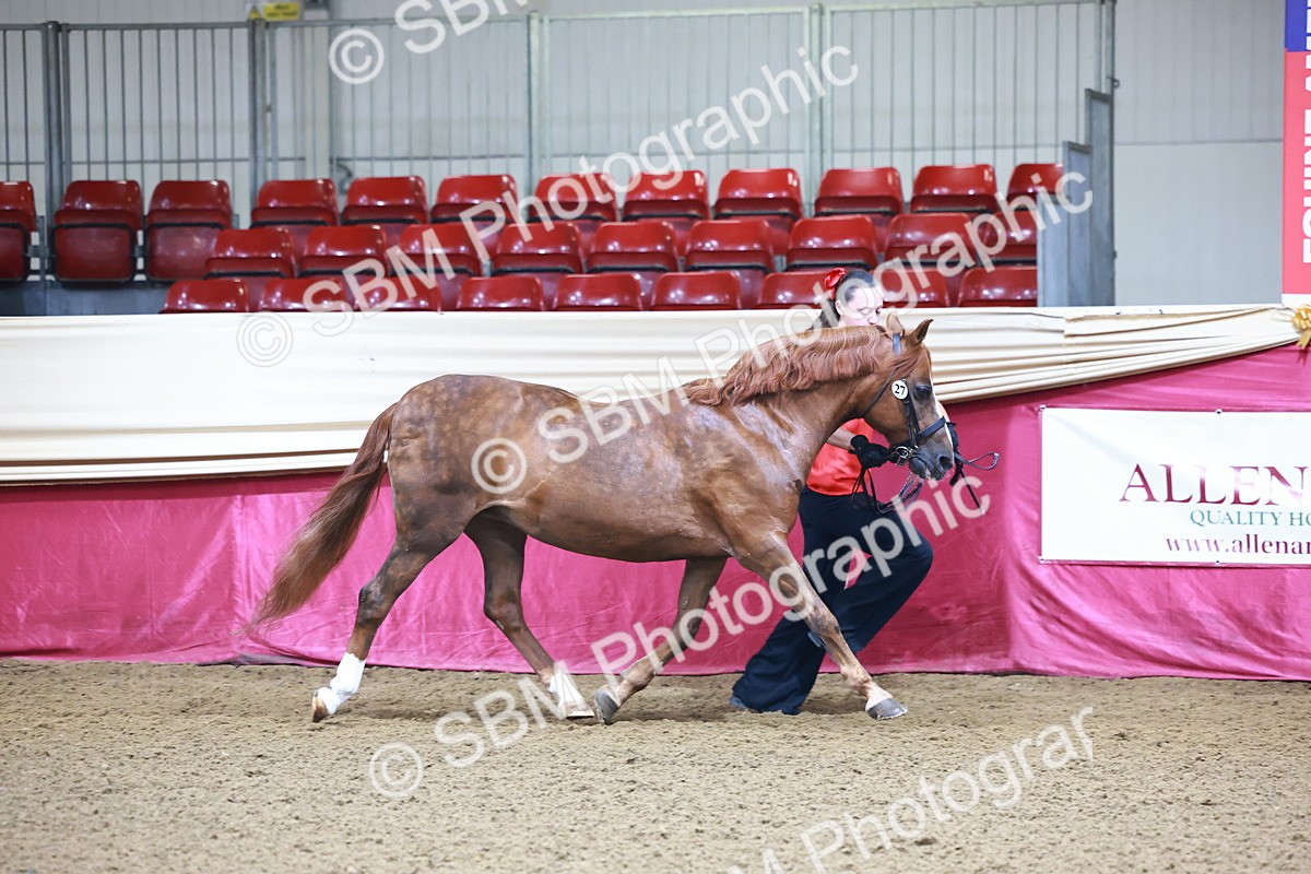 SBM_21638 - Class 901 - Supreme Final - IH  Diamond