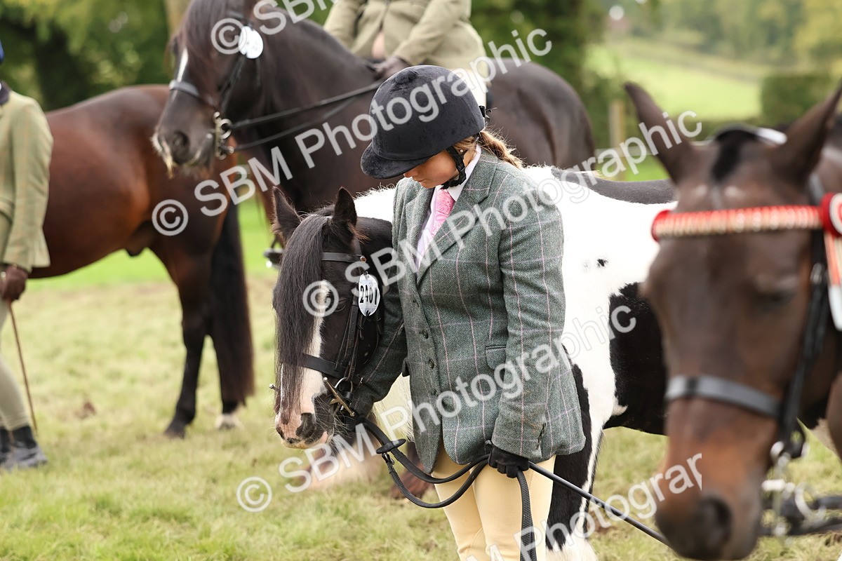 SBM_59987 - S36 - Rehabiliated Rescue Horse & Pony In Hand & Ridden