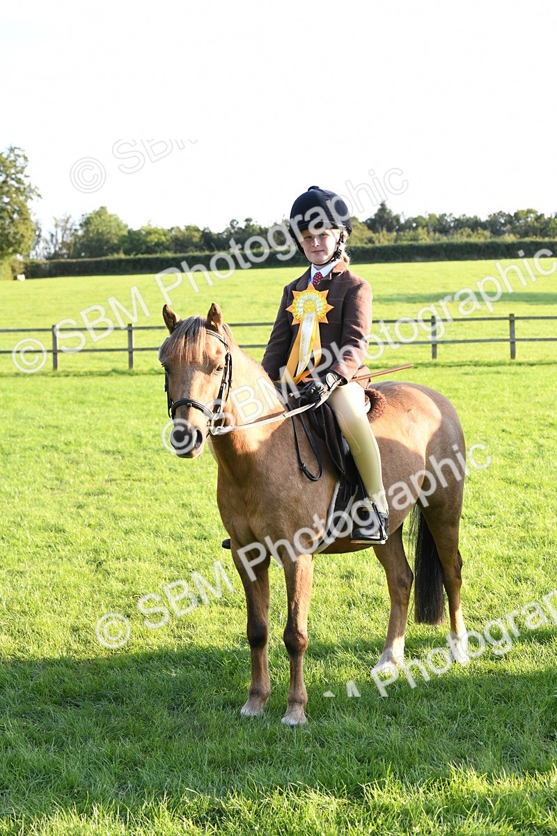 SBM_54177 - S23 - 1st Ridden Mountain & Moorland Pony