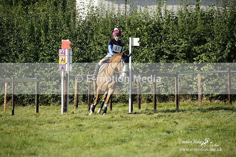  WWHT 031021 651 - WWEC Novice Restricted (0.80m) 18/10/20