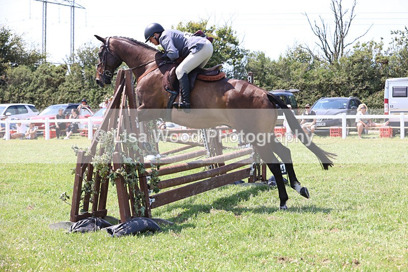 JPP_3010 - Class 22: Working Hunter 70cm