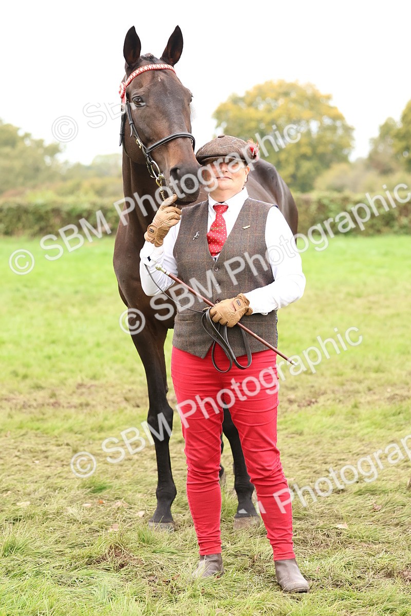 SBM_59919 - S36 - Rehabiliated Rescue Horse & Pony In Hand & Ridden