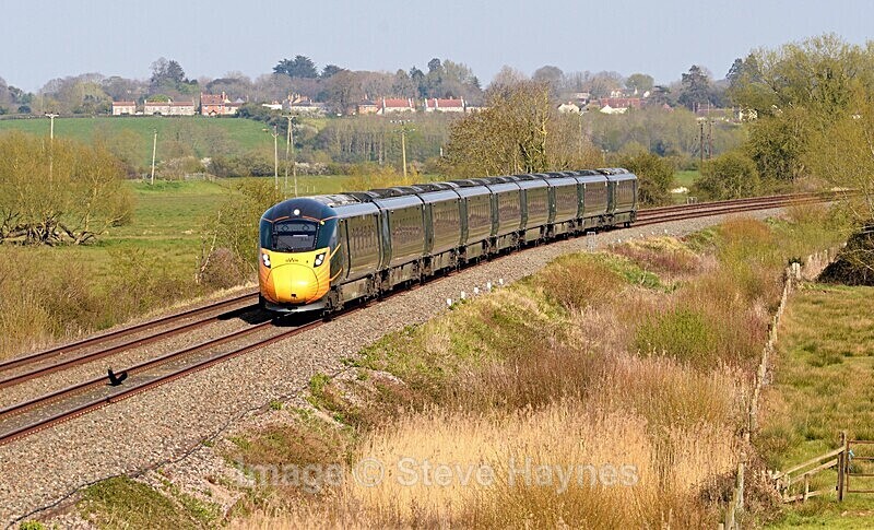18th April 2021 - Curry Rivel (Oathe, Wick), Somerset