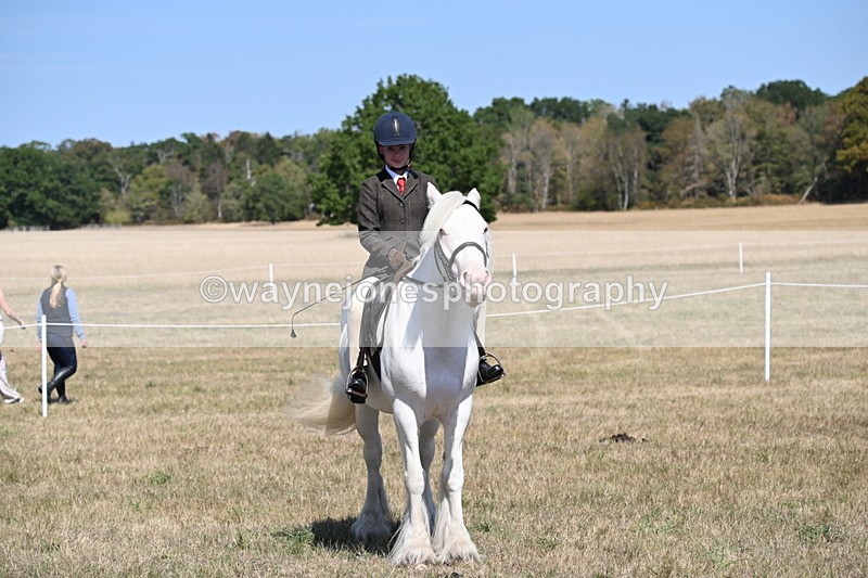 WJ6_9039 - Class 38 Ridden Riding Horse/Pony