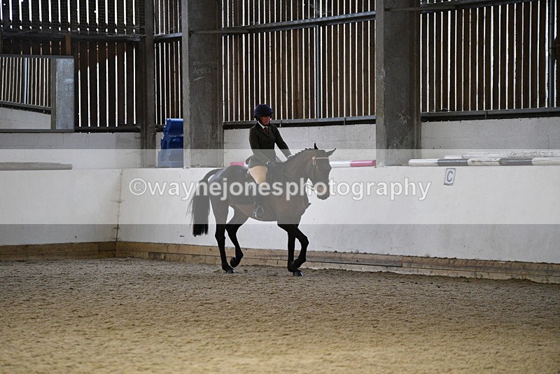 WJ5_8883 - Class 15 Ridden Show Horse