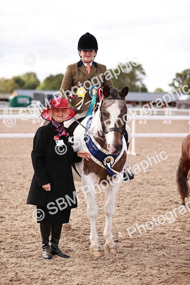 SBM_14396 - Class 409 - Grassroots Ridden - Pony