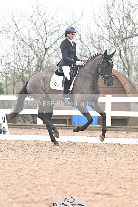 250215-133342-03891 - 165-Elder.Klatzko-Dynasty.Hit