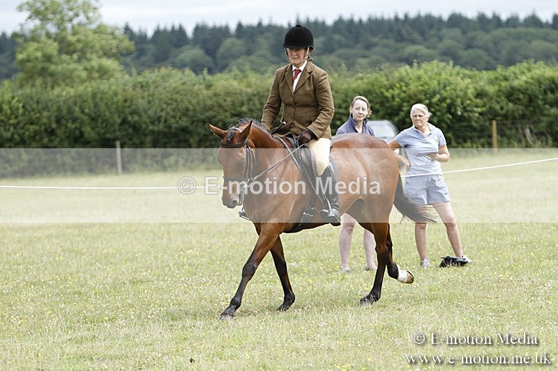 BVR160717-1804 - Ring 3 BVRC Show 16/07/17