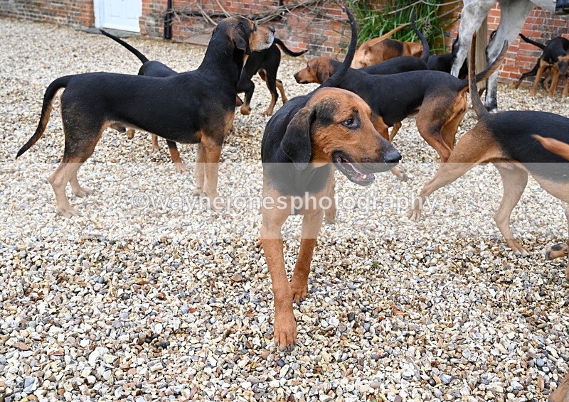 WJ7_9350 - Berks & Bucks Lead Rein - Hendred House 22-12-14