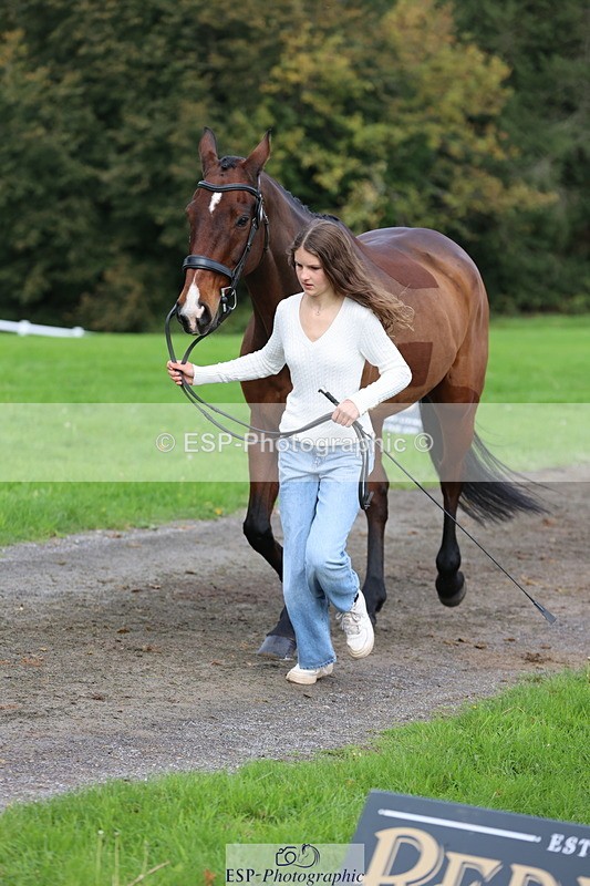 251026A-115758-25790 - G-577-Sophie.Tunnicliffe
