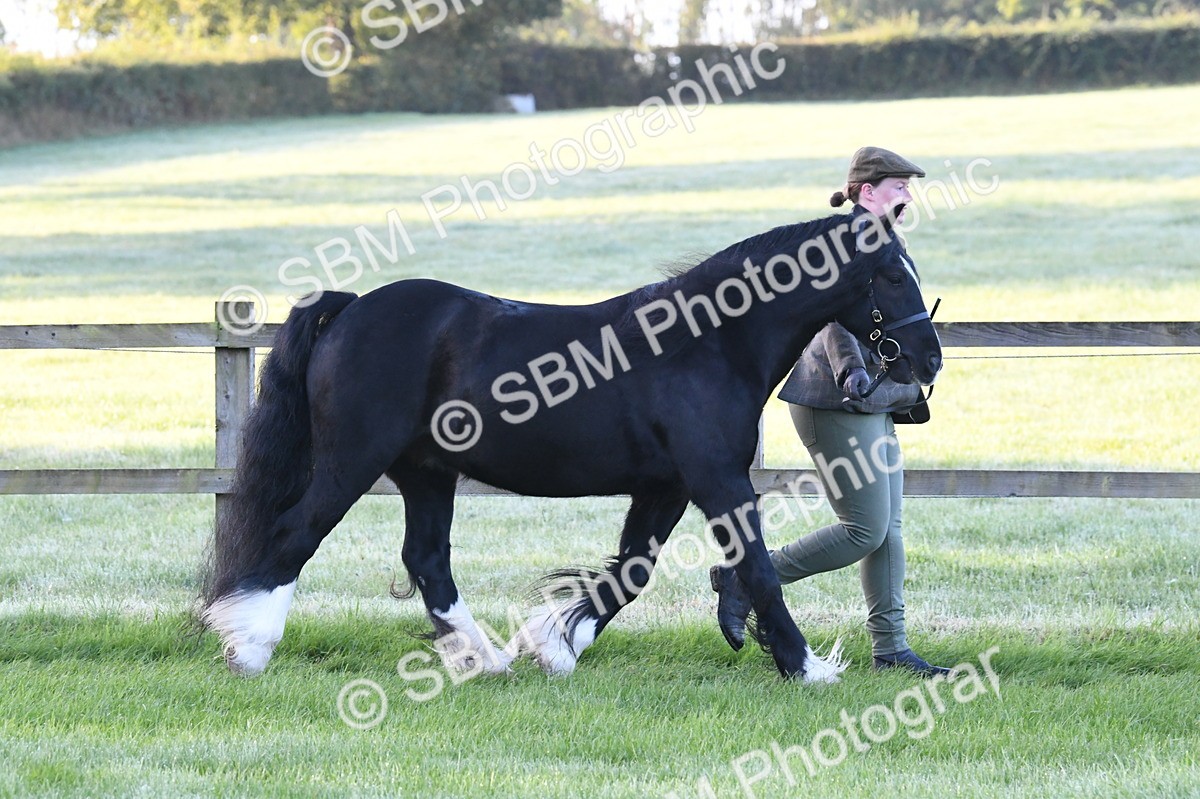 SBM_32566 - S15 - Condition & Turnout In Hand