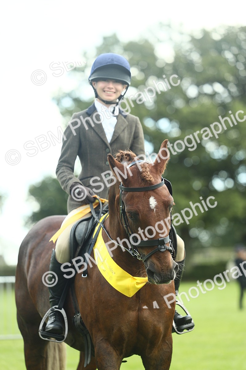SBM_42190 - S29 - Novice & Newcomers Working Hunter Pony