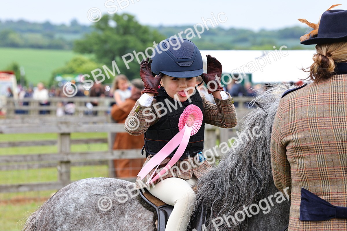 SBM_08390 - Class 42-43 - LIHS BSPS Heritage Working Sports Pony
