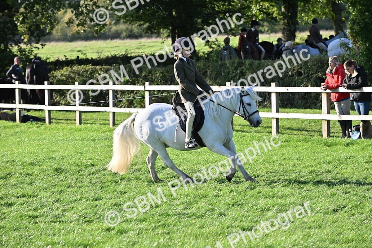 SBM_53063 - S23 - First Ridden Mountain & Moorland Pony