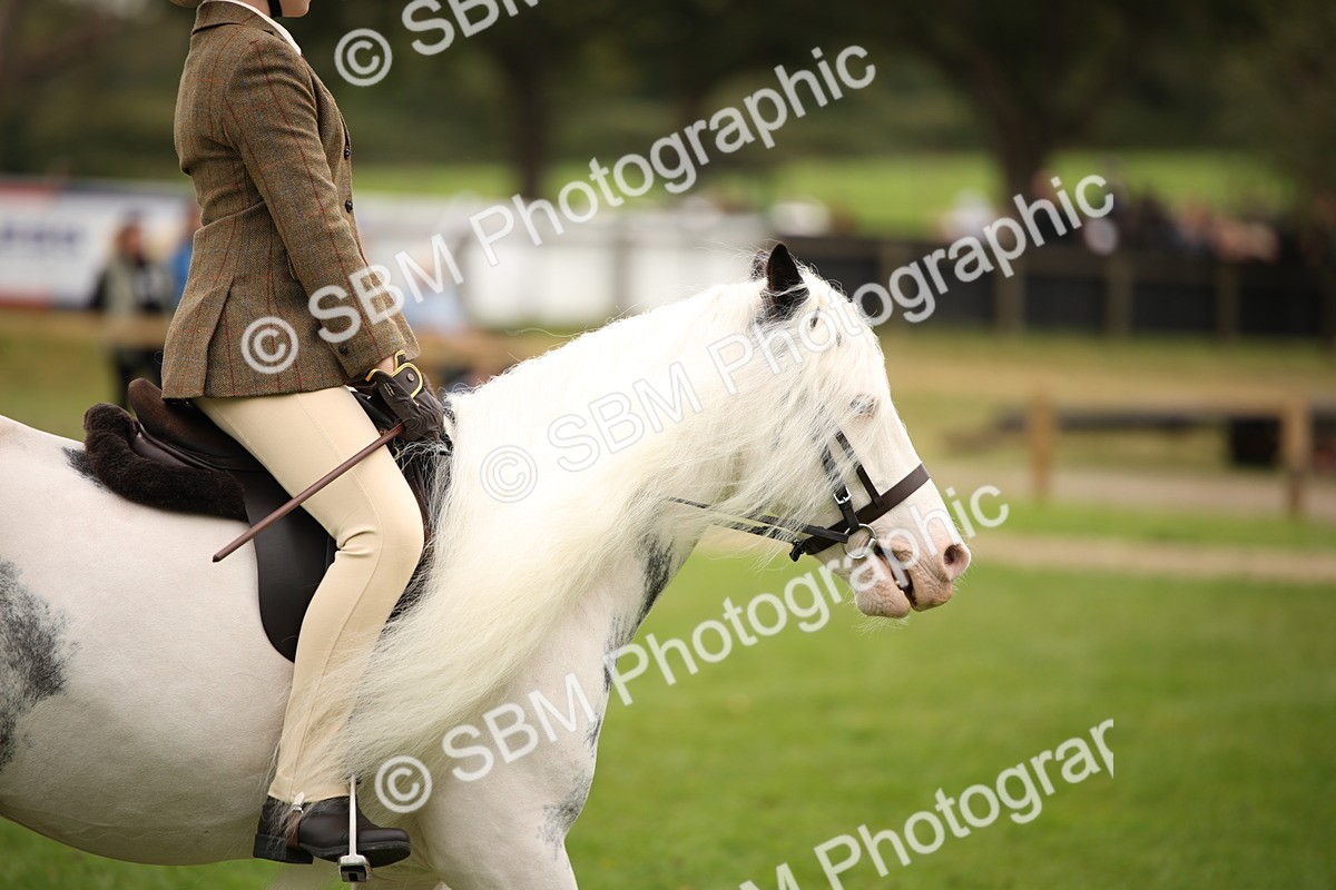 SBM_73485 - S68 - Traditional Cob Ridden