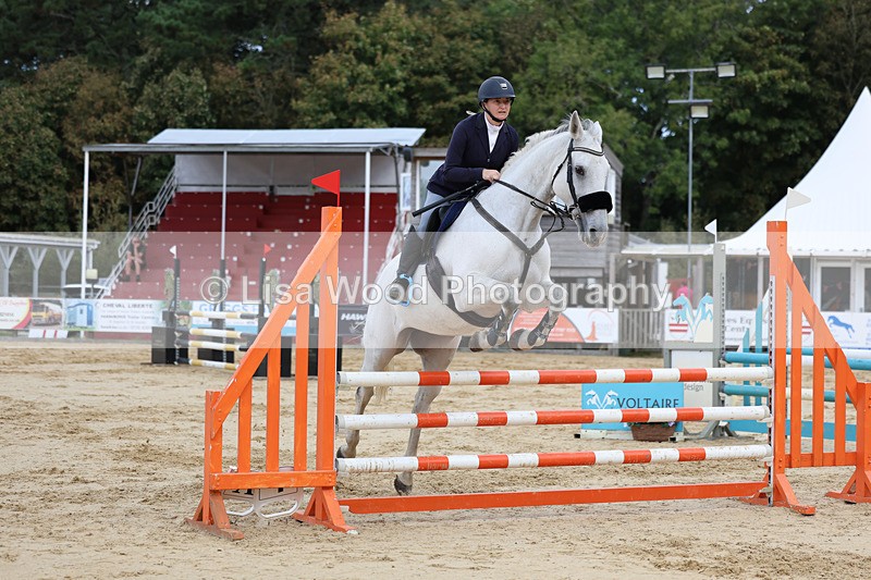 3E7A2213 - Class 4: Senior British Novice/90cm open