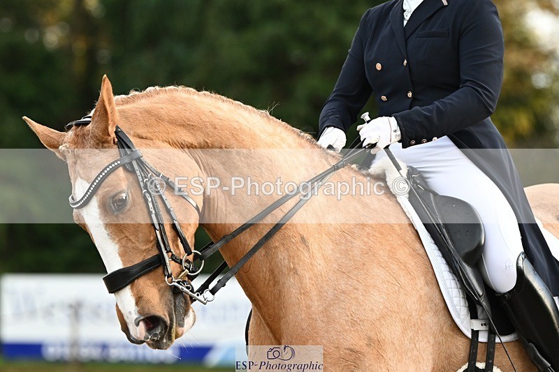 231110-153056-02231 - Cls 11 FEI PSG