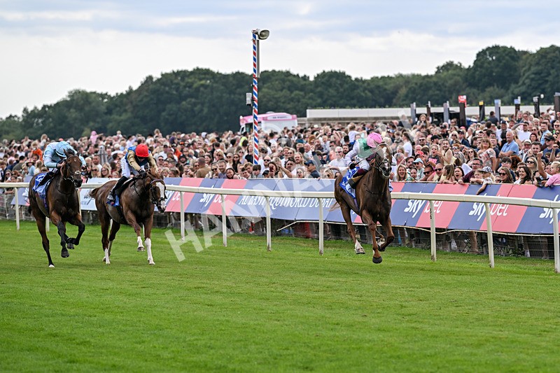 250726-Race 3-Item-7038 - Race 3 14.35pm Sky Bet York Stakes