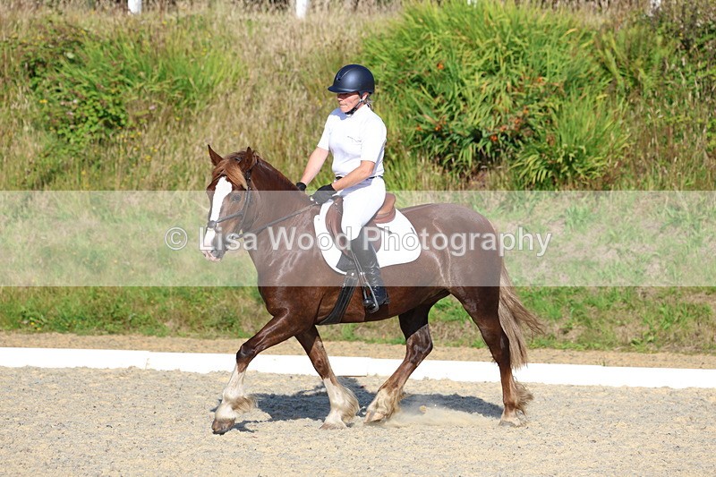 3E7A3681 - Class 2: Intro 1 2024 Section B