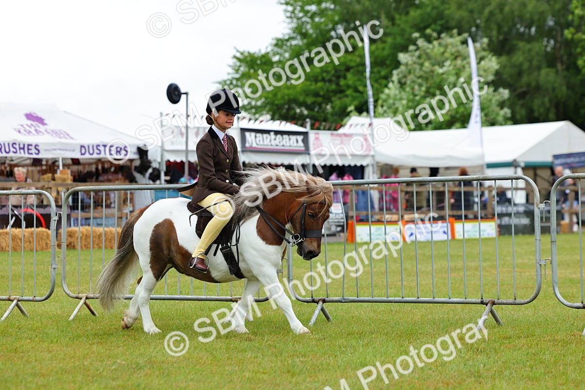 SBM_01175 - Class 1-4 - BSPA Ridden