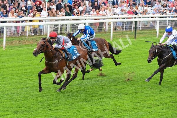 yr04092022r1-35 - Race 1 1.45pm IRE Incentive, It Pays To Buy Irish EBF Novice Stakes