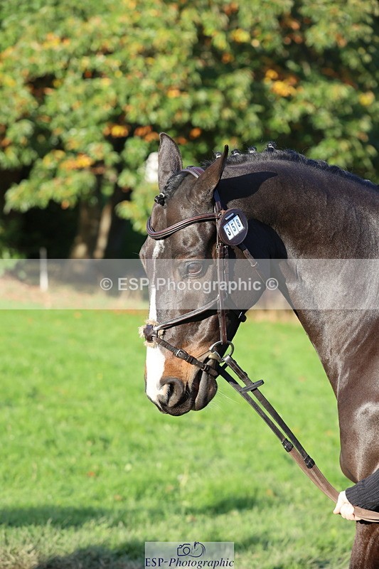 251026A-094424-22450 - D-358-Esta.Isobelle.Roche