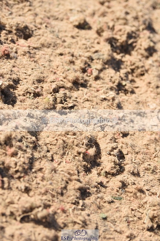 230915A-155132-00896 - Cls 13 1.10m Amateur Qualifier & 1.10m Open