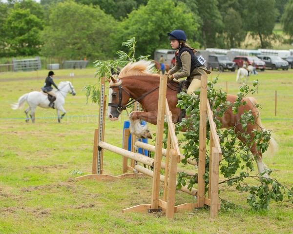 Dunblane show-420 - Dunblane and Doune Show Ring 1