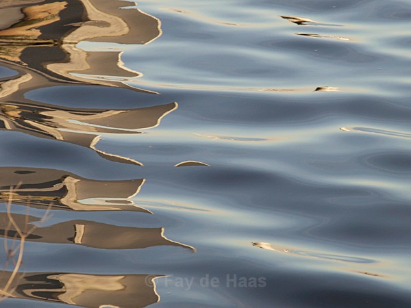  - Water gazing