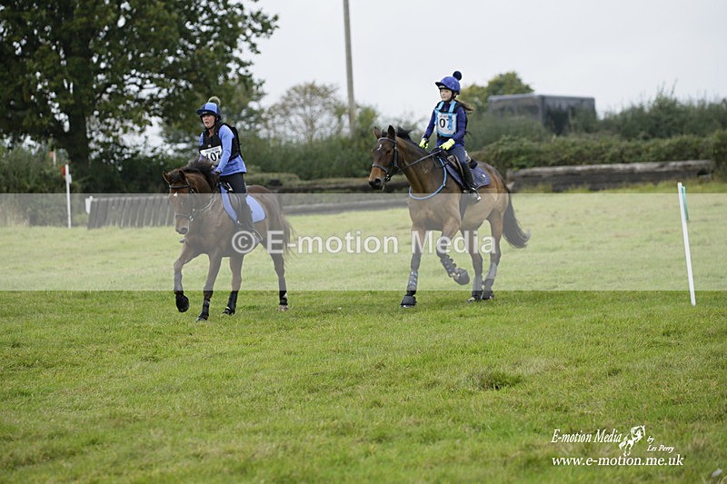  WWHT 171021 2016 - Novice Pairs (0.80m)  17/10/21