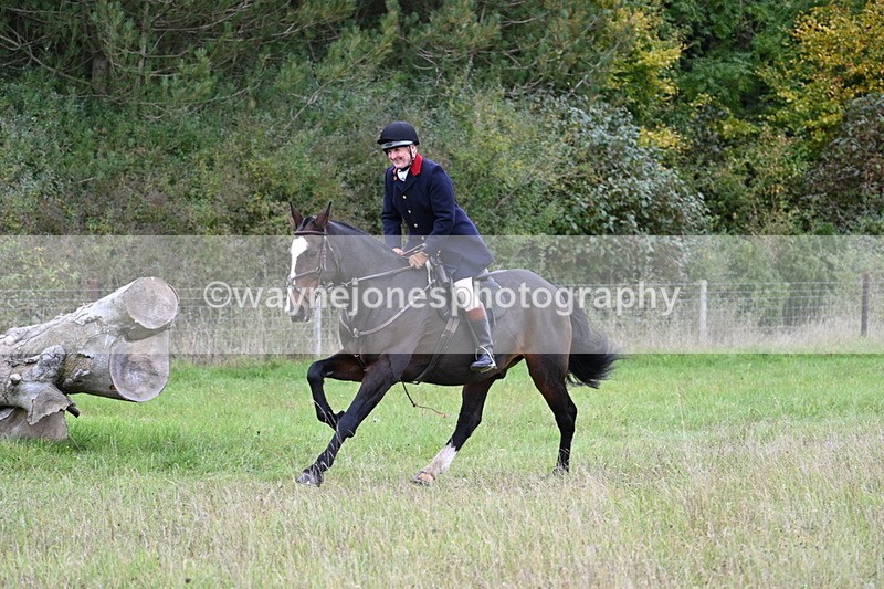 WJ7_3587 - Camera 1 Line 1